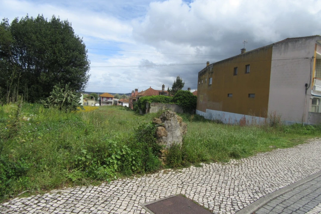 Terreno para Venda em Monte Real e Carvide Foto 3