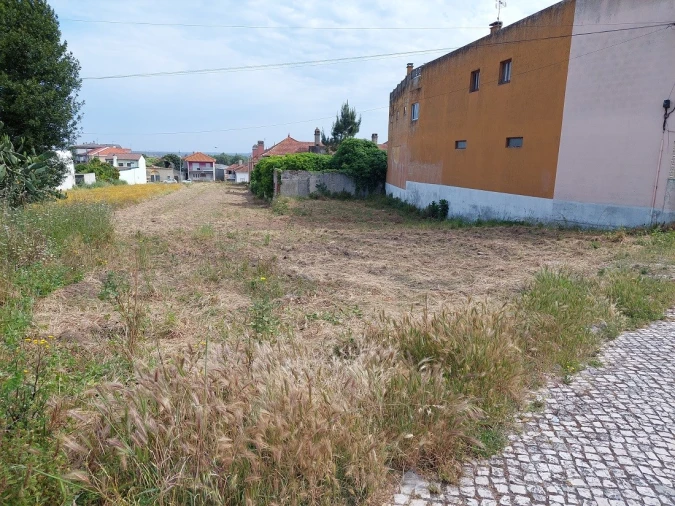 Terreno para Venda em Monte Real e Carvide Foto 4
