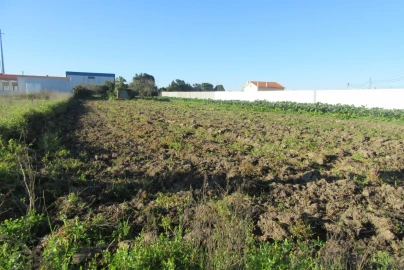 Terreno para Venda em Monte Real e Carvide