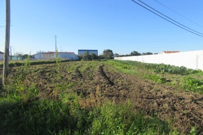 Terreno para Venda em Monte Real e Carvide