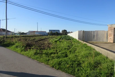 Terreno para Venda em Monte Real e Carvide