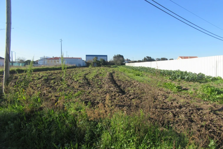 Terreno para Venda em Monte Real e Carvide Foto 2