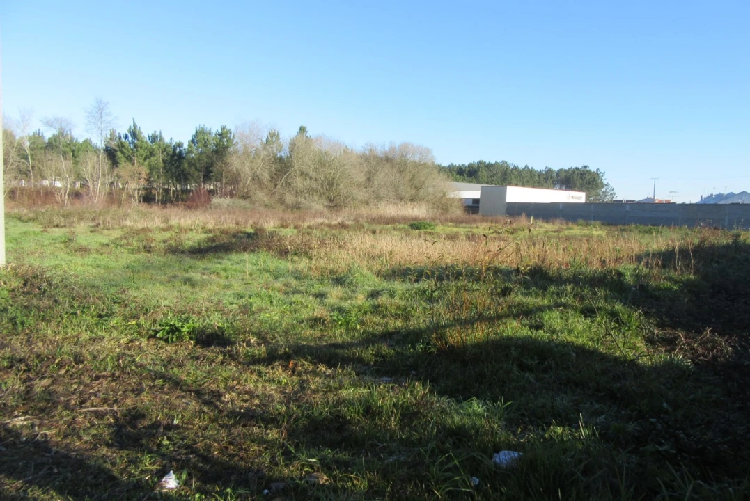 Terreno para Venda em Monte Real e Carvide Foto 10