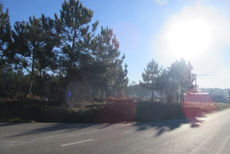 Terreno para Venda em Monte Real e Carvide Foto 3