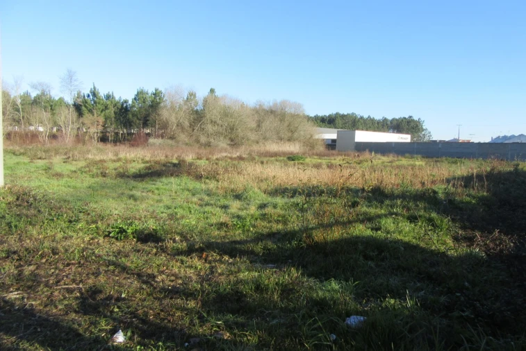Terreno para Venda em Monte Real e Carvide Foto 10