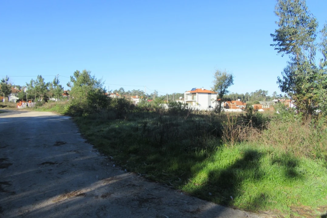 Terreno para Venda em Monte Real e Carvide Foto 4