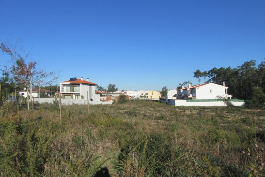 Terreno para Venda em Monte Real e Carvide Foto 5