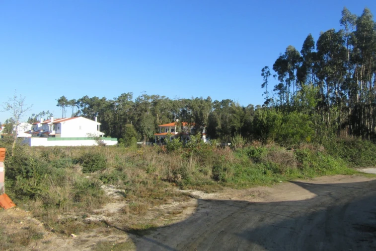 Terreno para Venda em Monte Real e Carvide Foto 7