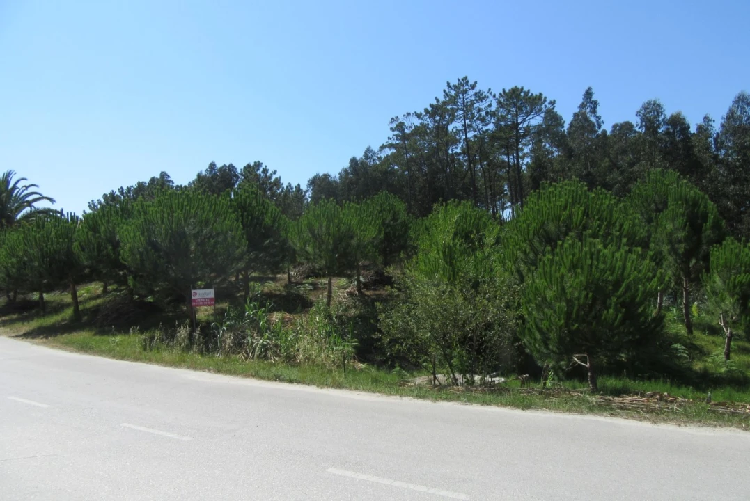 Terreno para Venda em Monte Real e Carvide Foto 1