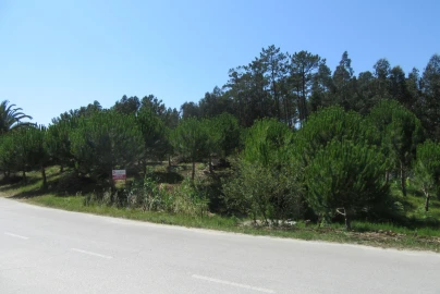 Terreno para Venda em Monte Real e Carvide