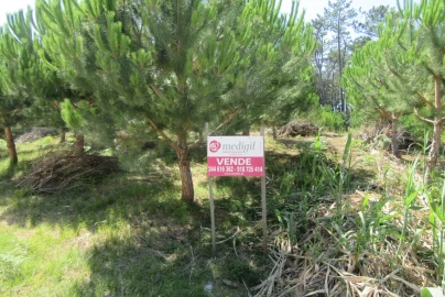Terreno para Venda em Monte Real e Carvide
