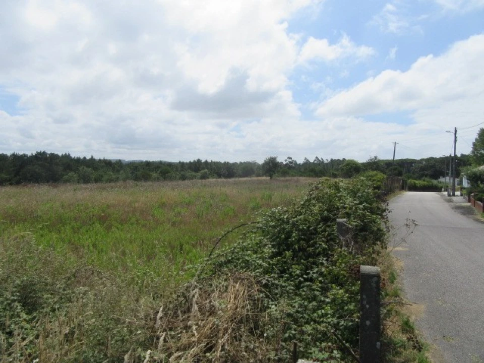 Terreno para Venda em Monte Real e Carvide Foto 2