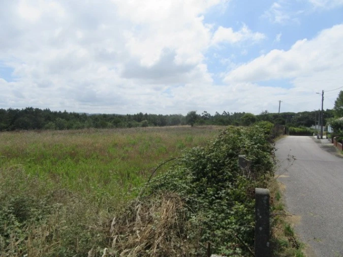 Terreno para Venda em Monte Real e Carvide Foto 2