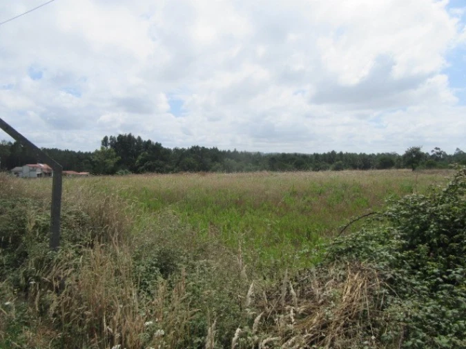 Terreno para Venda em Monte Real e Carvide Foto 3