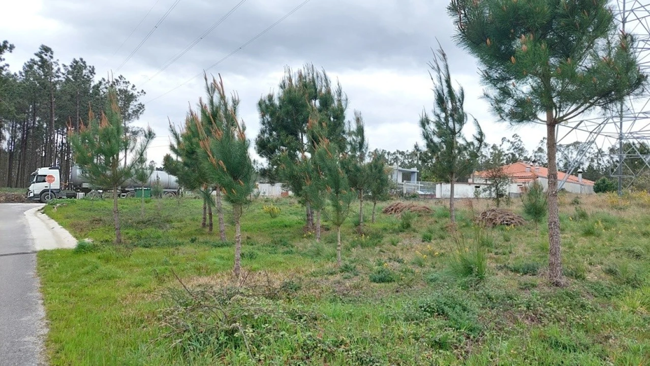 Terreno para Venda em Monte Redondo e Carreira Foto 4