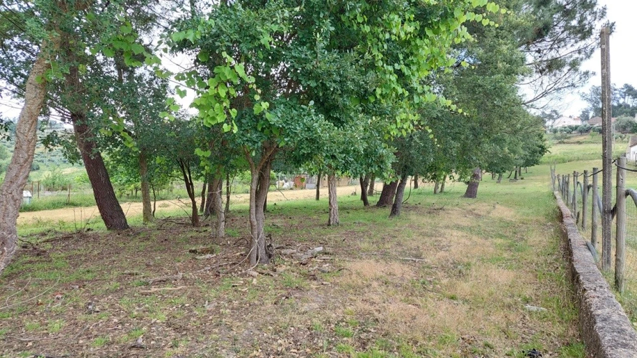 Terreno para Venda em Leiria, Pousos, Barreira e Cortes Foto 3