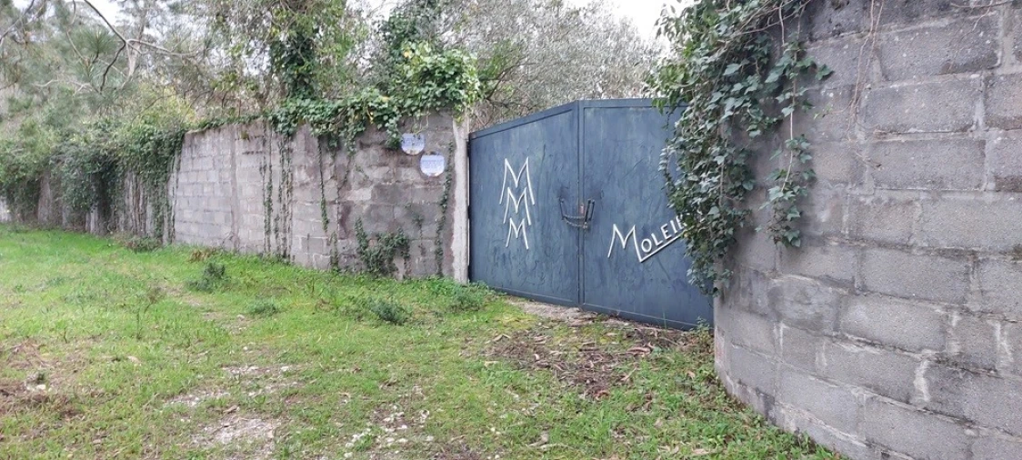 Terreno para Venda em Monte Real e Carvide Foto 1