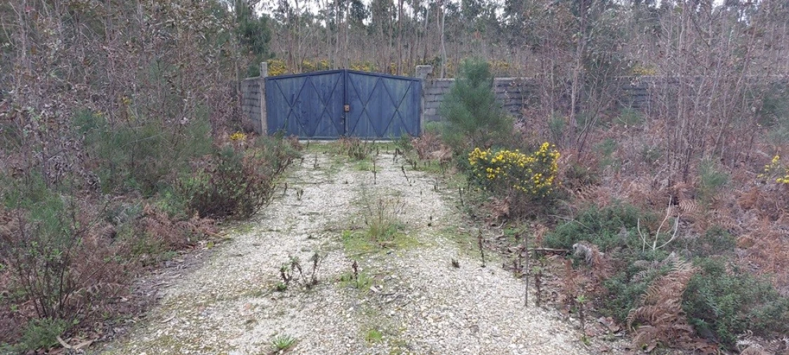 Terreno para Venda em Monte Real e Carvide Foto 3