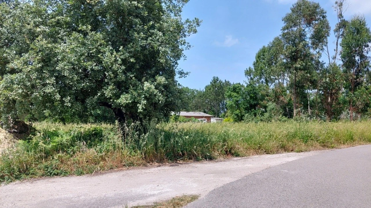 Terreno para Venda em Monte Real e Carvide Foto 6