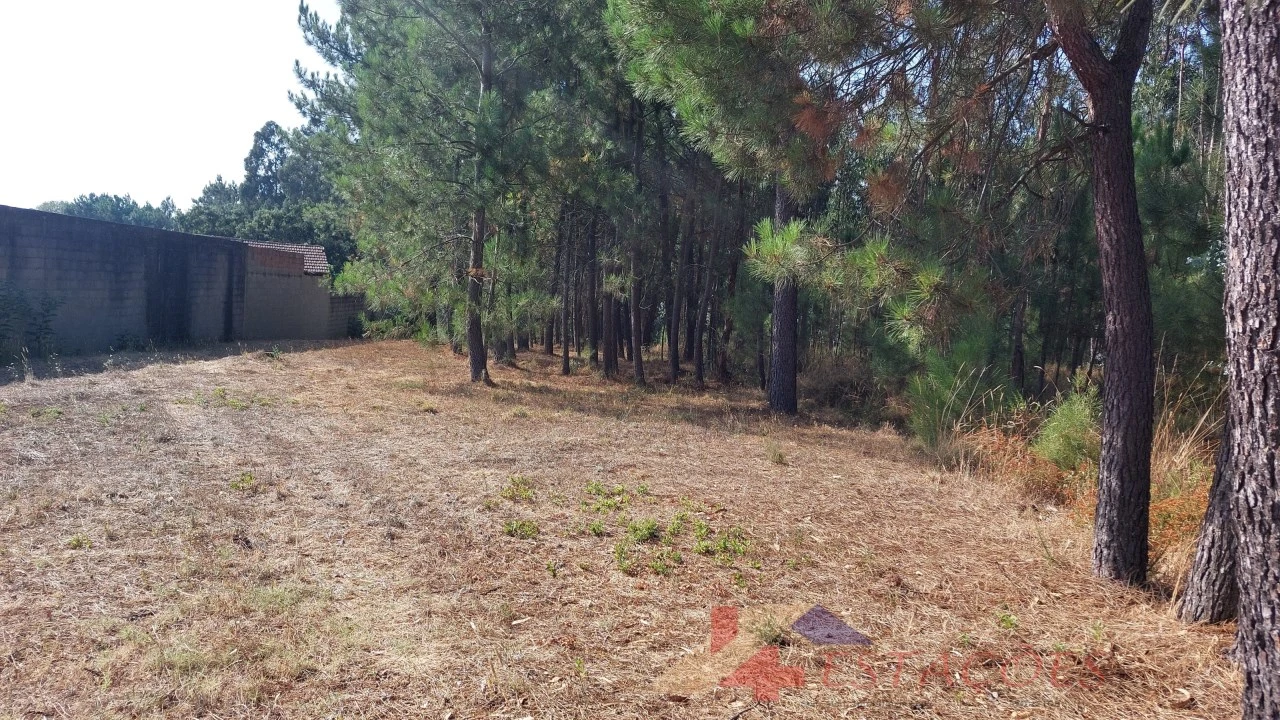 Terreno para Venda em Pombal Foto 1