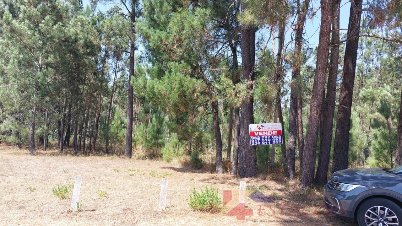 Terreno para Venda em Pombal Foto 7