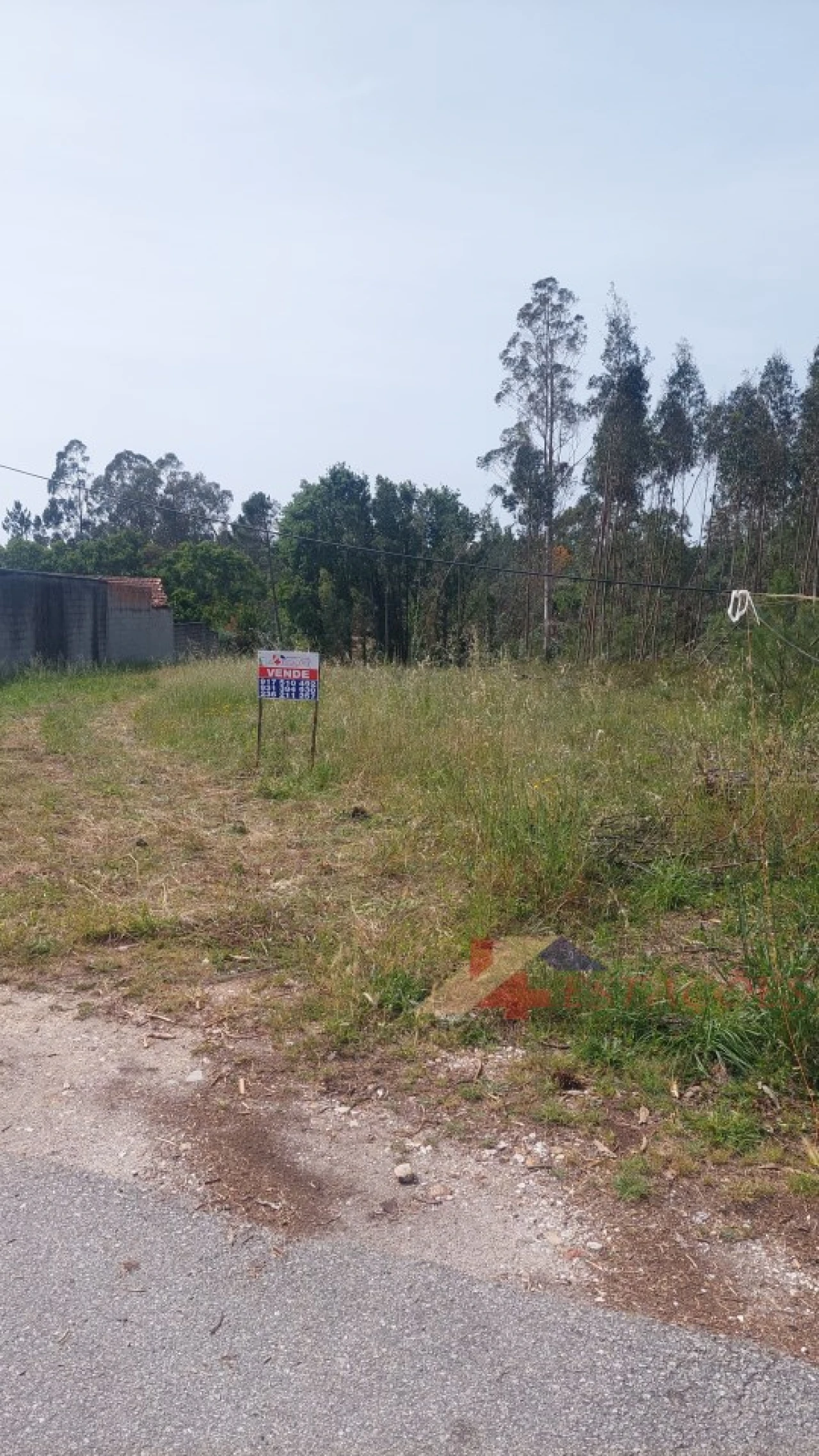 Terreno para Venda em Pombal Foto 9