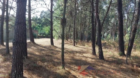 Terreno para Venda em Pombal