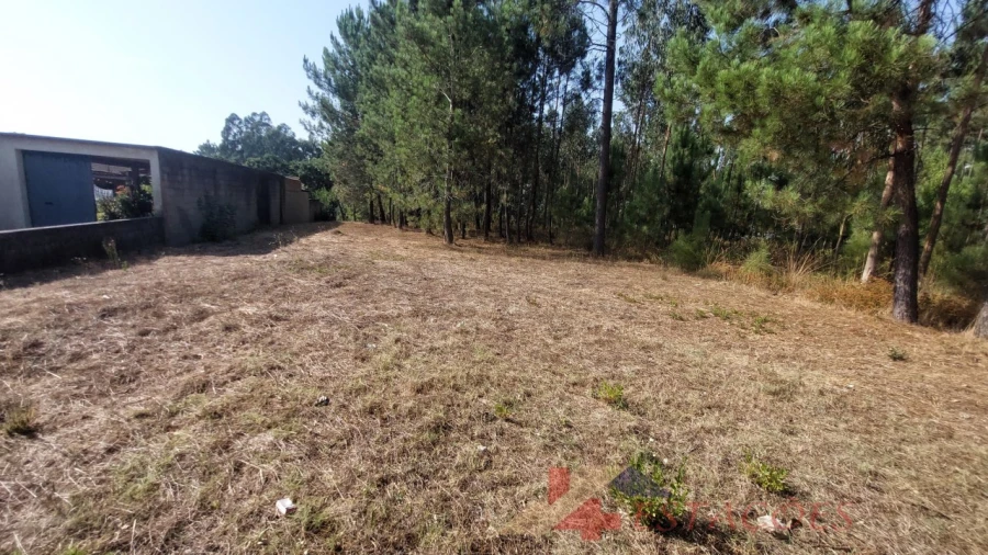 Terreno para Venda em Pombal Foto 5