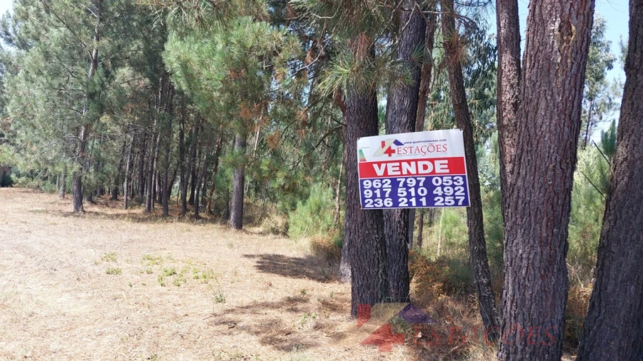 Terreno para Venda em Pombal Foto 2
