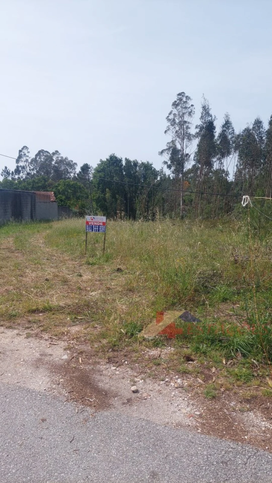 Terreno para Venda em Pombal Foto 9