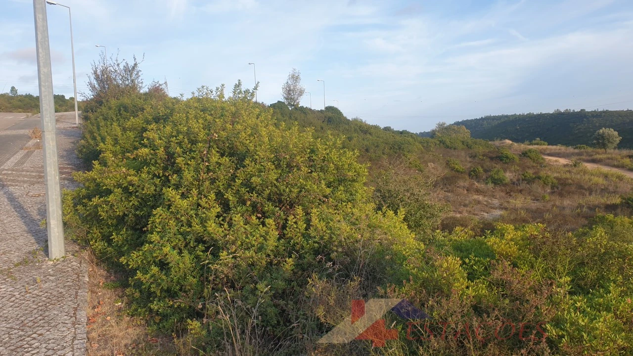 Terreno para Venda em Pombal Foto 7