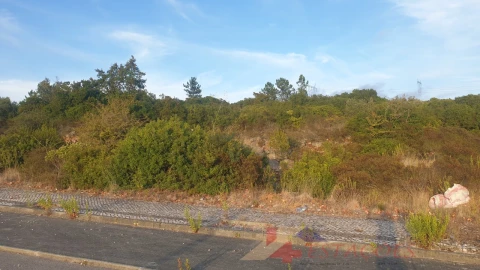 Terreno para Venda em Pombal