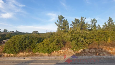 Terreno para Venda em Pombal
