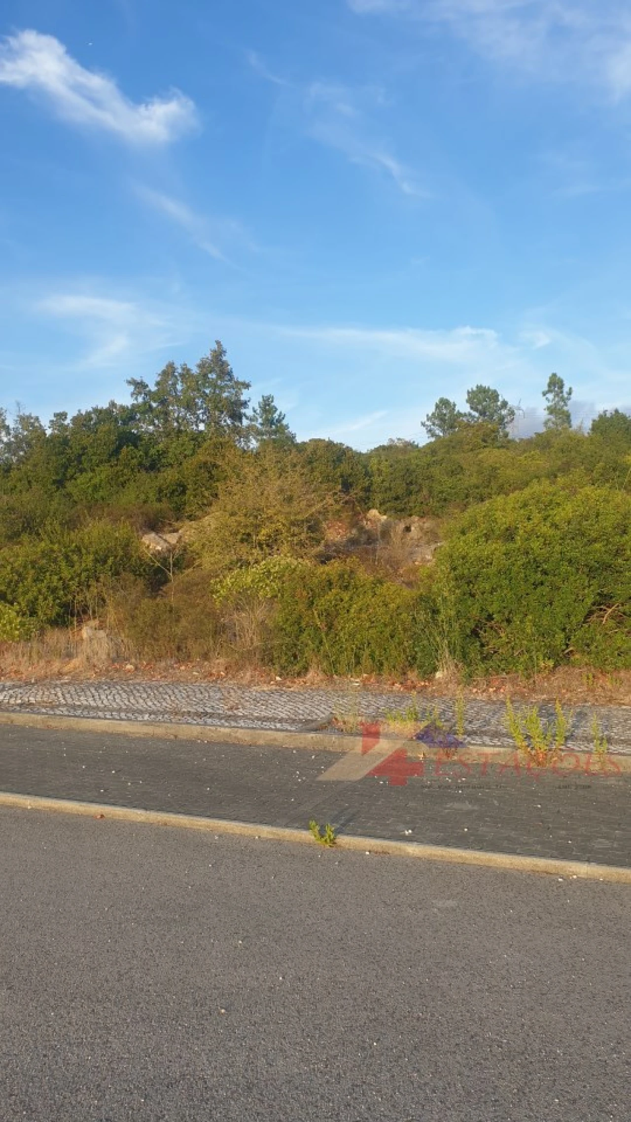 Terreno para Venda em Pombal Foto 6