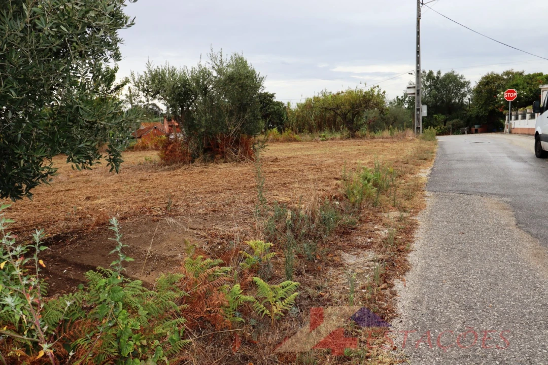 Terreno para Venda em Almagreira Foto 3