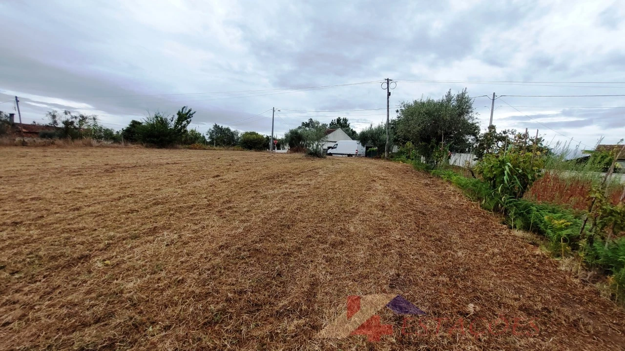 Terreno para Venda em Almagreira Foto 6