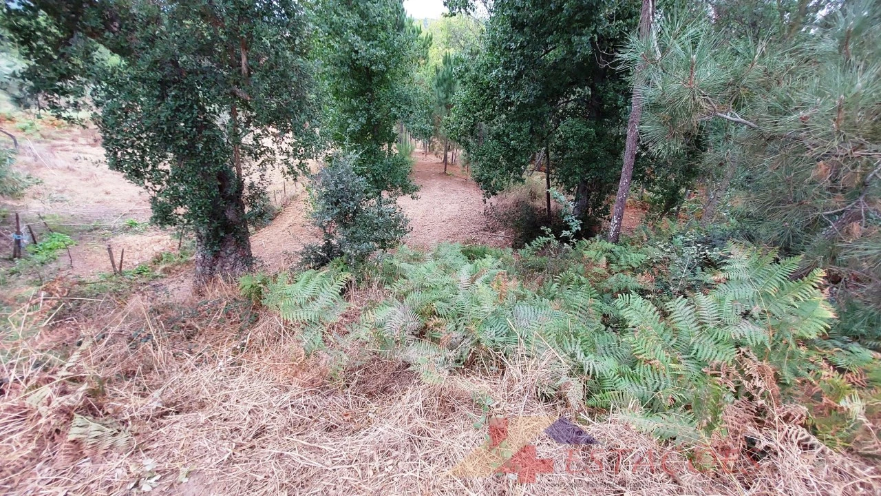 Terreno para Venda em Almagreira Foto 13