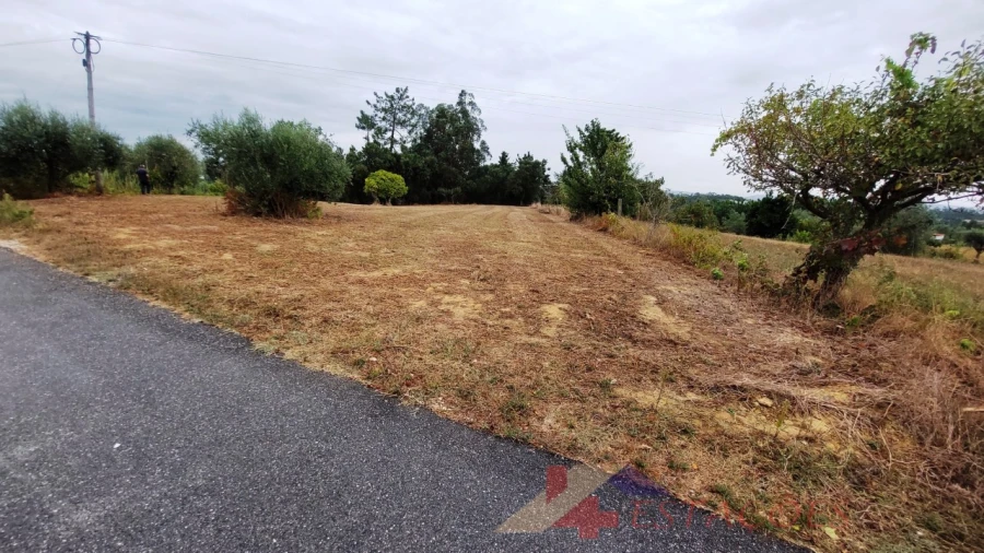 Terreno para Venda em Almagreira Foto 2