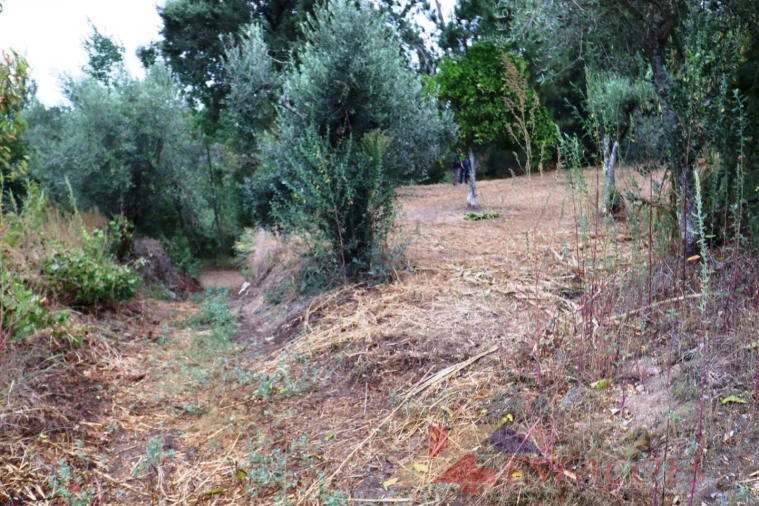 Terreno para Venda em Almagreira Foto 10