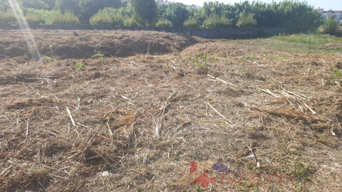 Terreno para Venda em Pombal