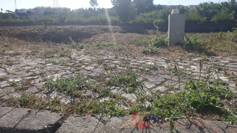 Terreno para Venda em Pombal