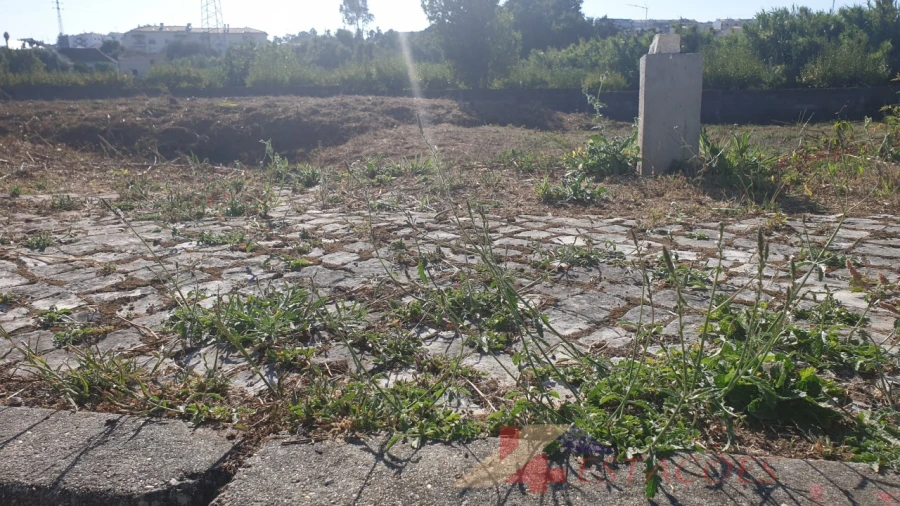 Terreno para Venda em Pombal Foto 2