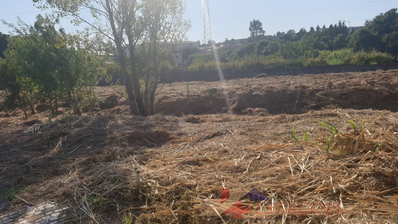 Terreno para Venda em Pombal Foto 3