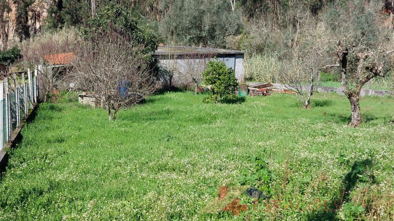 Terreno para Venda em Santiago e São Simão de Litém e Albergaria dos Doze Foto 1