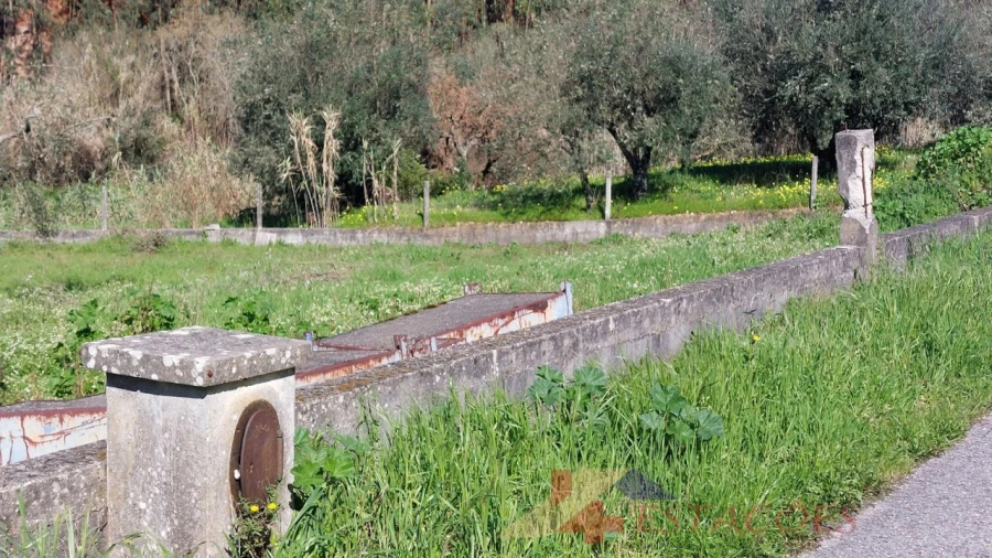 Terreno para Venda em Santiago e São Simão de Litém e Albergaria dos Doze Foto 8