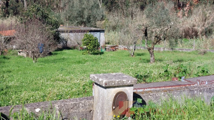 Terreno para Venda em Santiago e São Simão de Litém e Albergaria dos Doze Foto 9