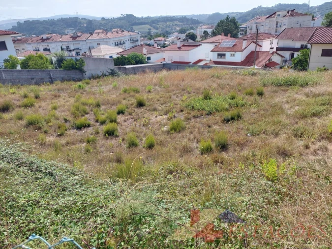 Terreno para Venda em Pombal Foto 6