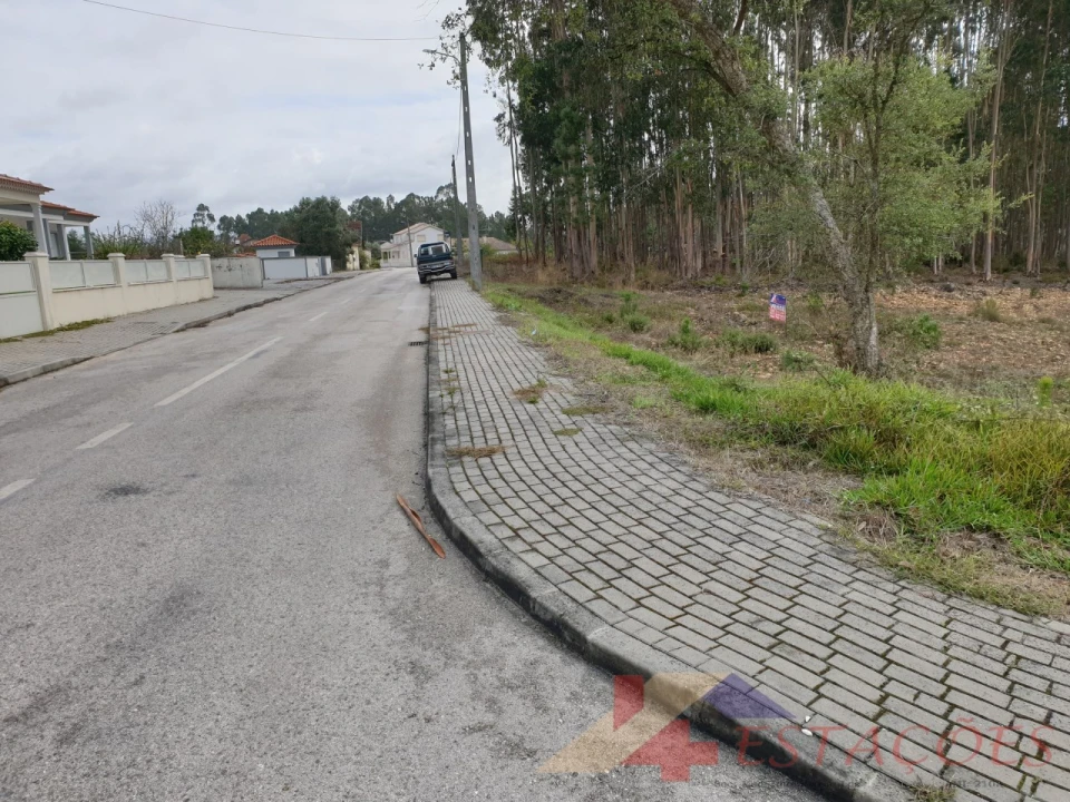 Terreno para Venda em Pombal Foto 4