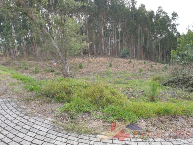 Terreno para Venda em Pombal Foto 5