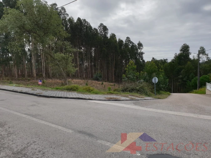 Terreno para Venda em Pombal Foto 6